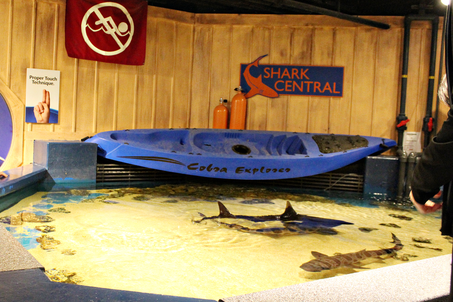 Newport Aquarium in Newport, KY