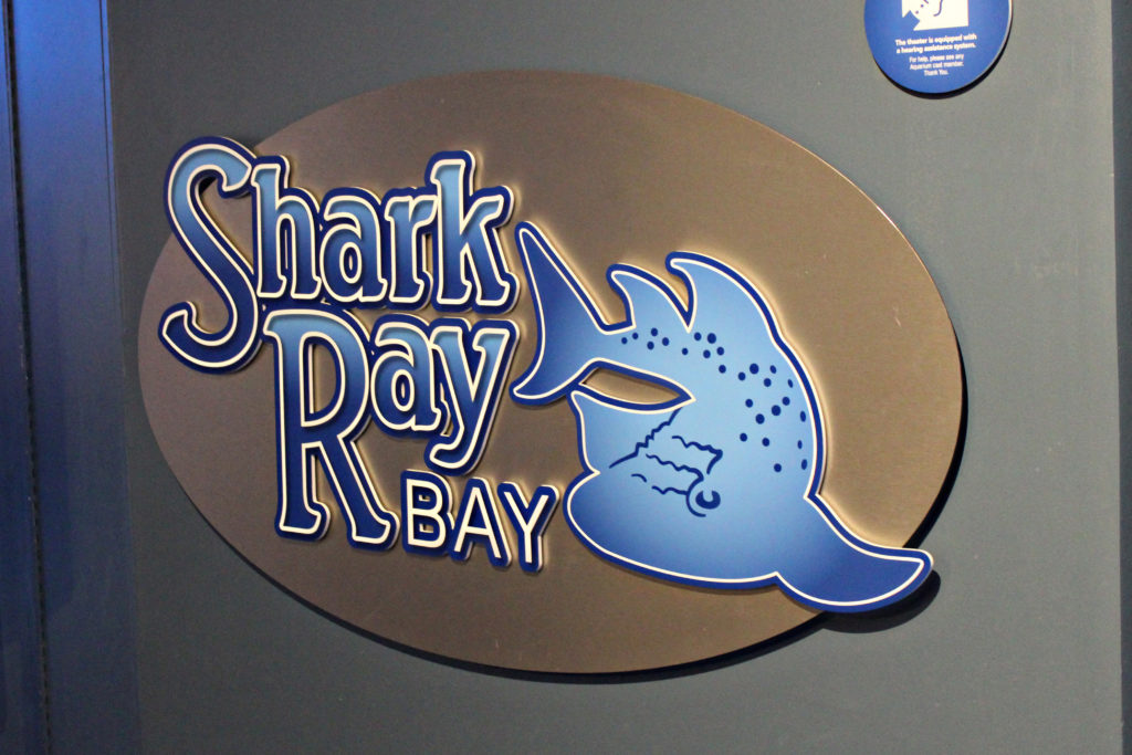 Newport Aquarium in Newport, KY