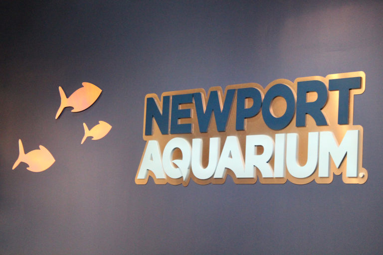 Newport Aquarium in Newport, KY