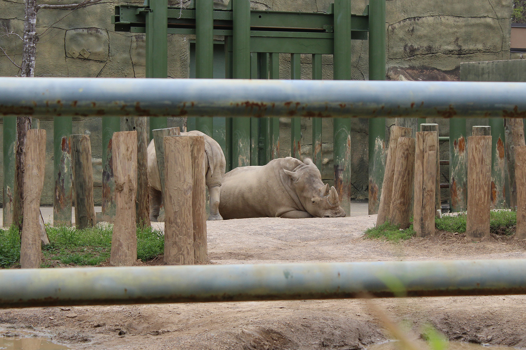 The Birmingham Zoo in Birmingham, Alabama with Kids