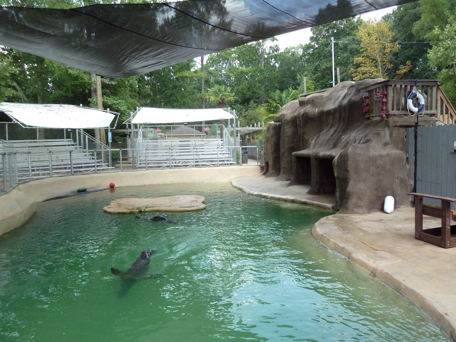 The Birmingham Zoo in Birmingham, Alabama with Kids