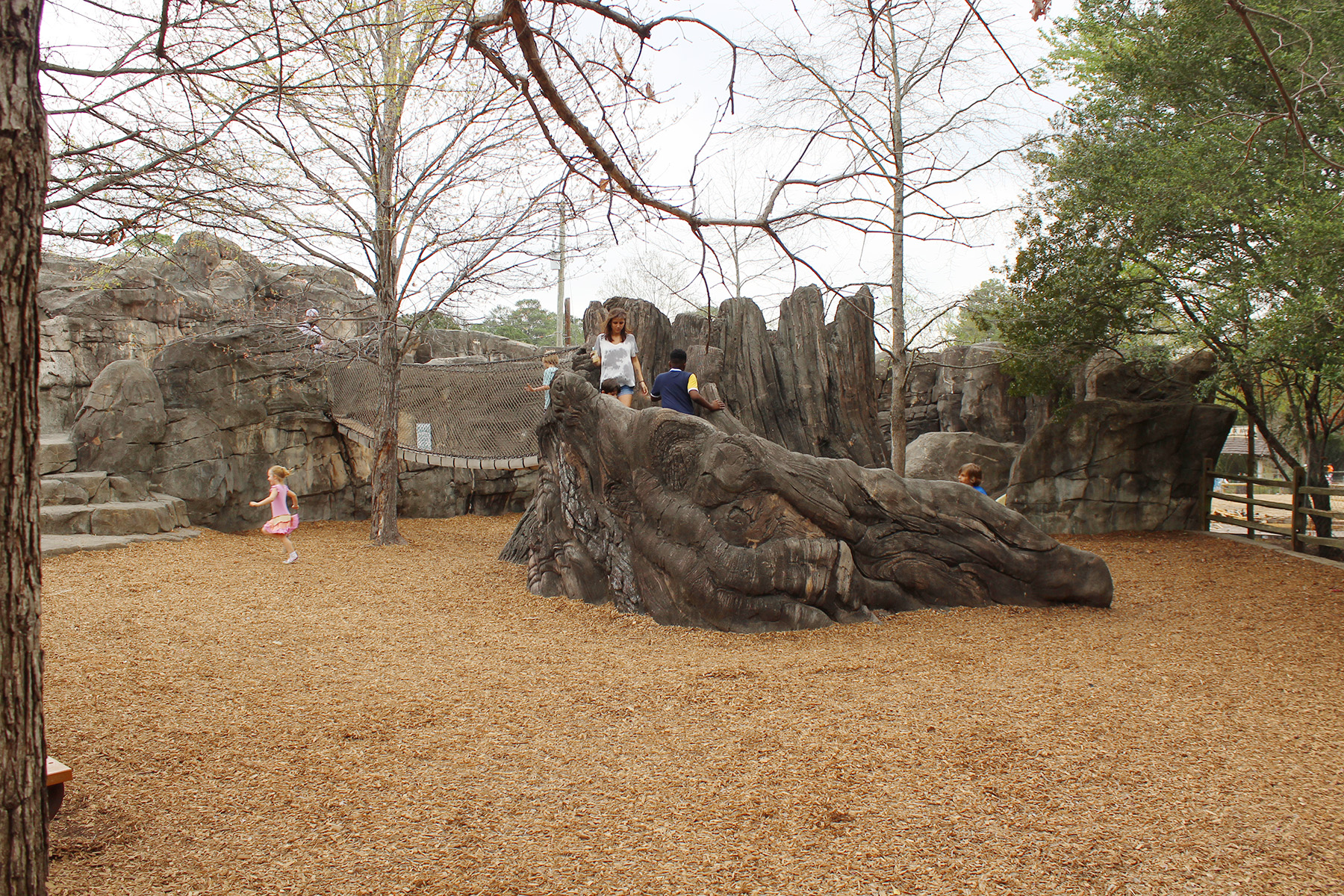 The Birmingham Zoo in Birmingham, Alabama with Kids