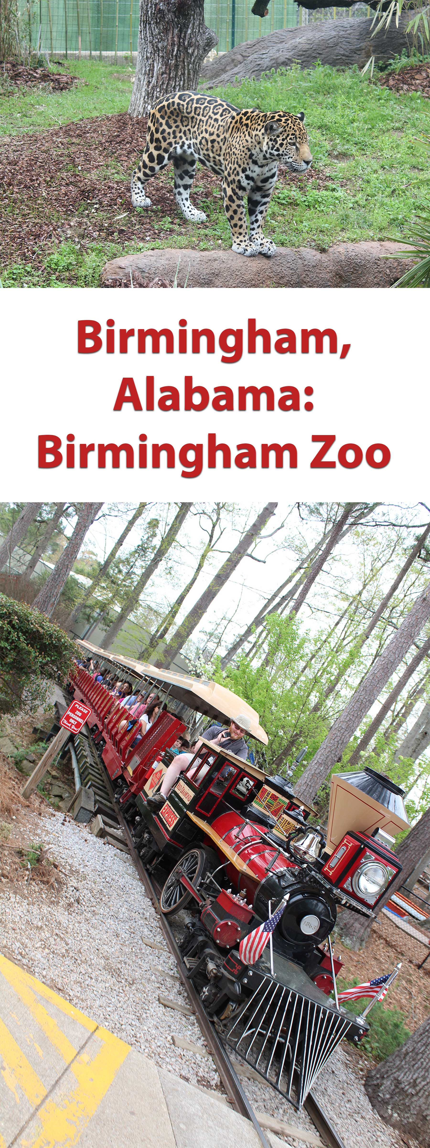 The Birmingham Zoo In Birmingham Alabama With Kids