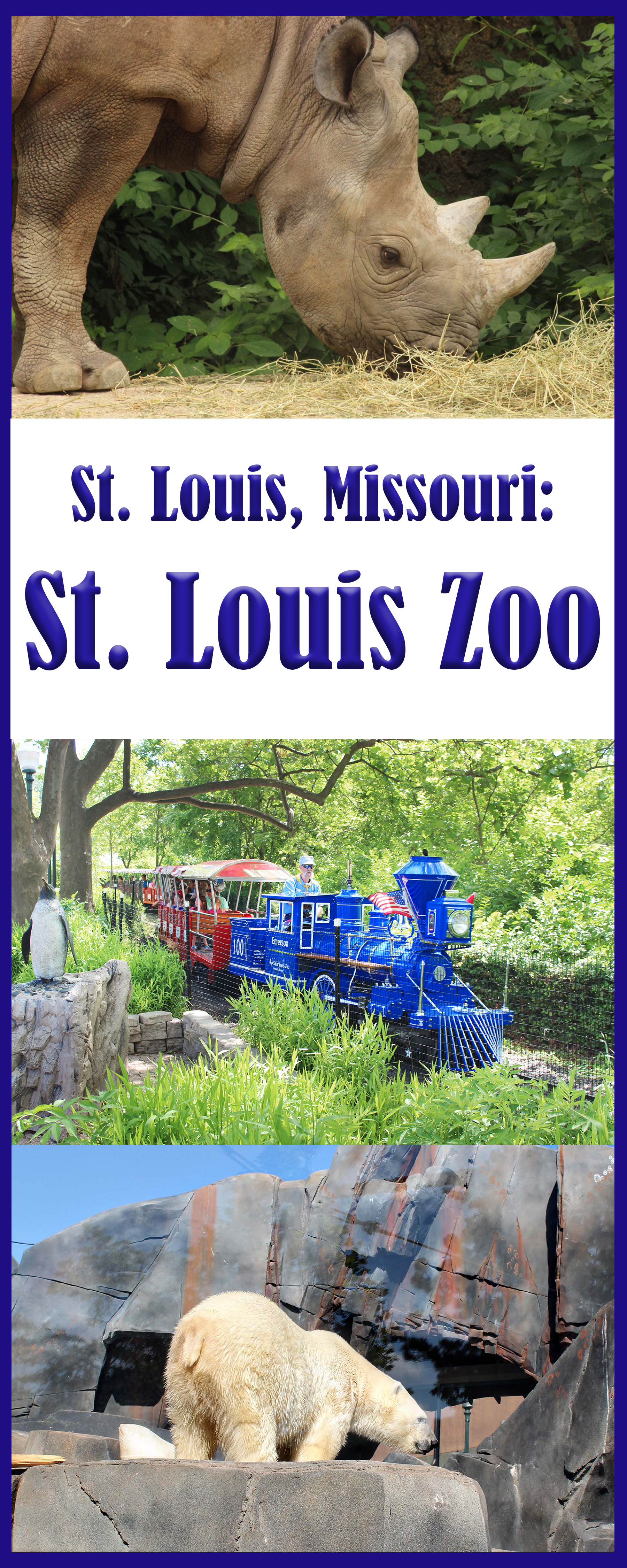 St. Louis, Missouri: St. Louis Zoo - 0