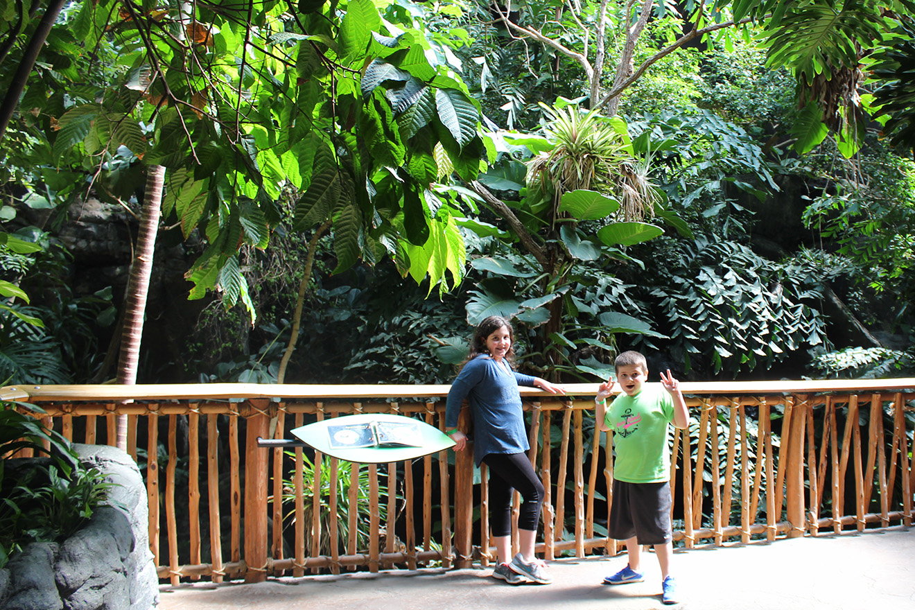 discovery place science charlotte discovery place science charlotte