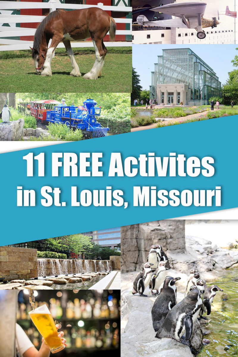 11 Free Activities for the