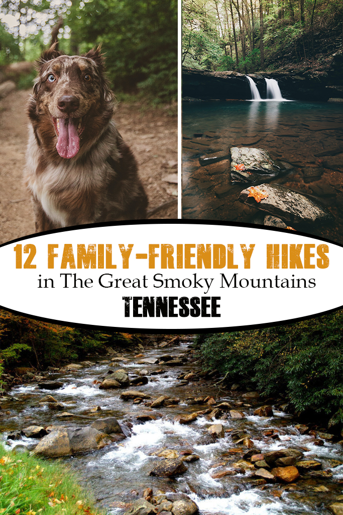 kid friendly hikes in smoky mountains
