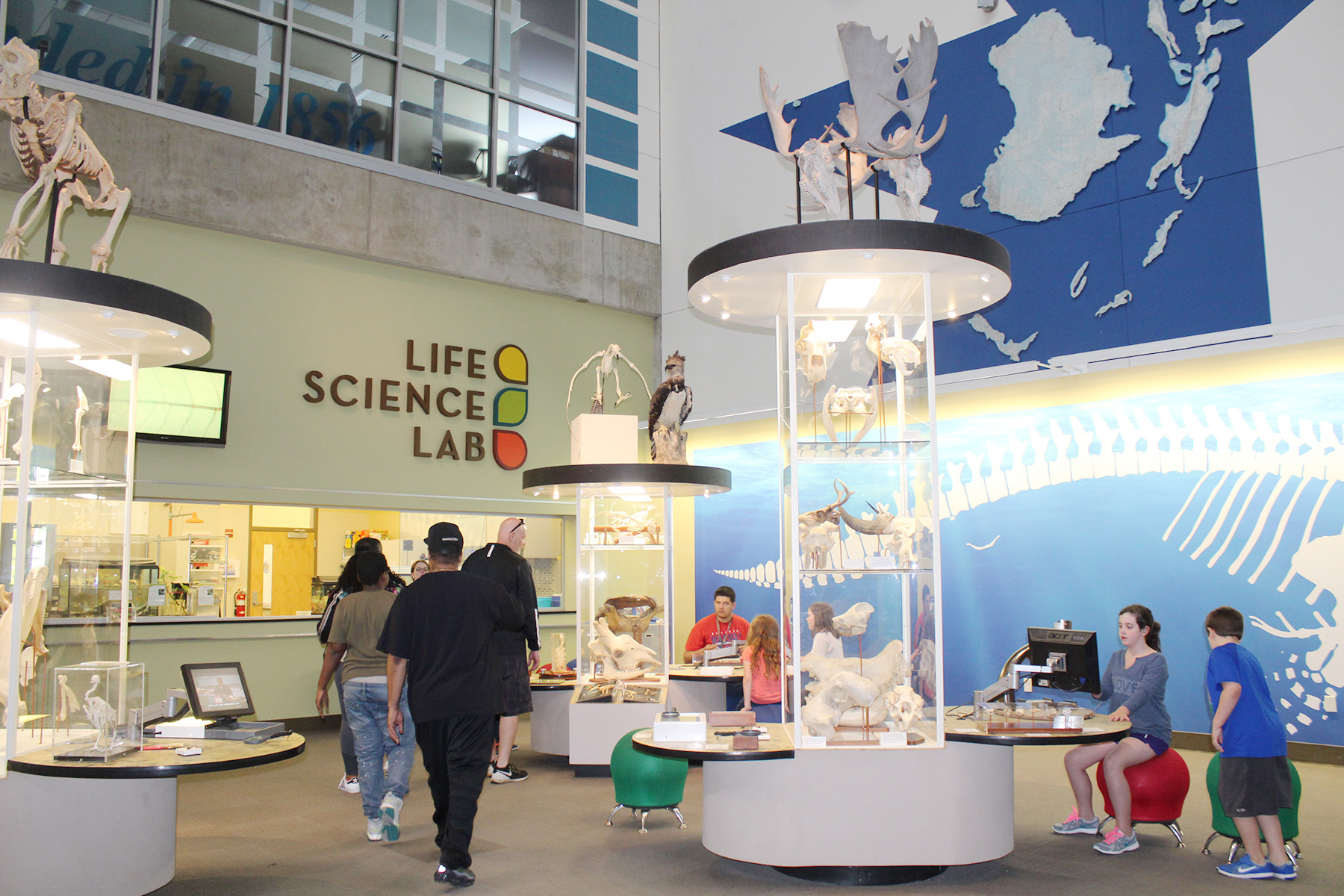 Doctor Who Display – Saint Louis Science Center