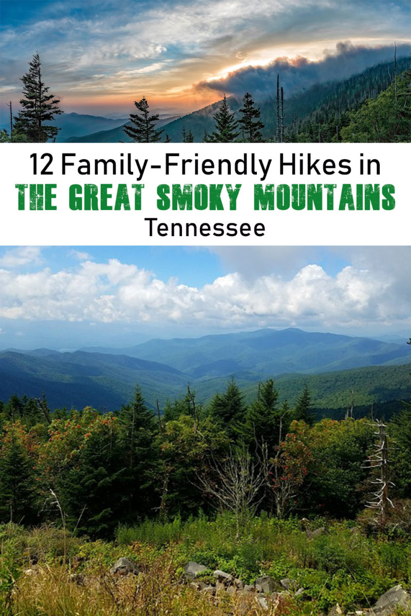 12 Family-Friendly Hikes in The Great Smoky Mountains - have-kids-will ...