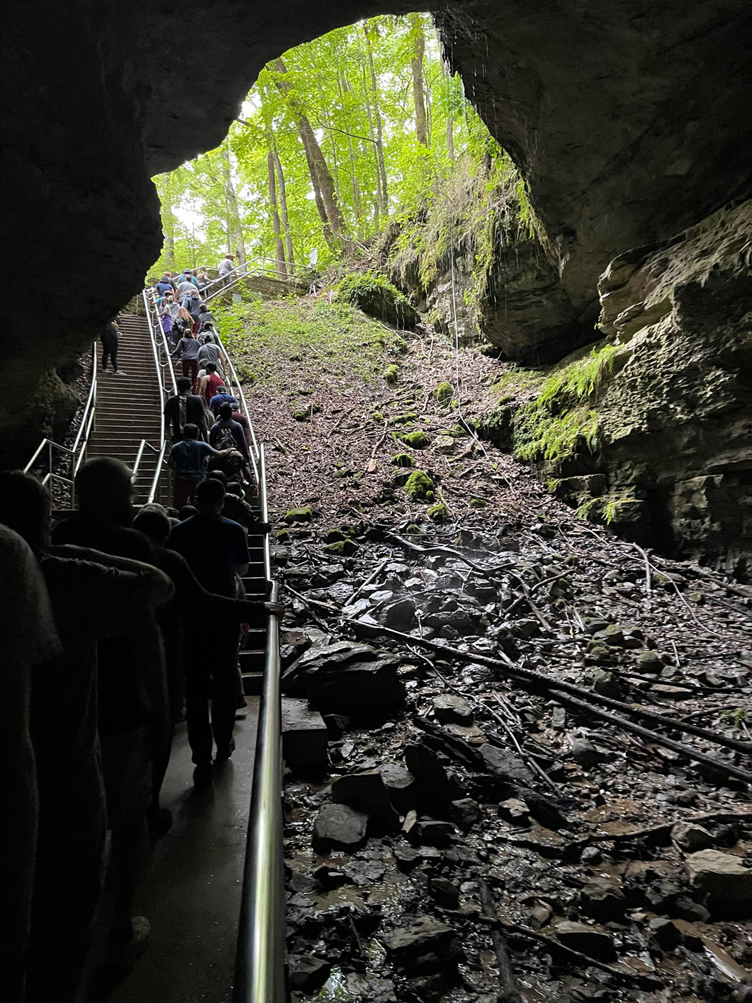 Mammoth Cave National Park in Bowling Green, Kentucky